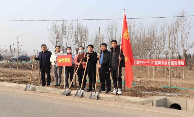 阳信县城投集团开展植树活动