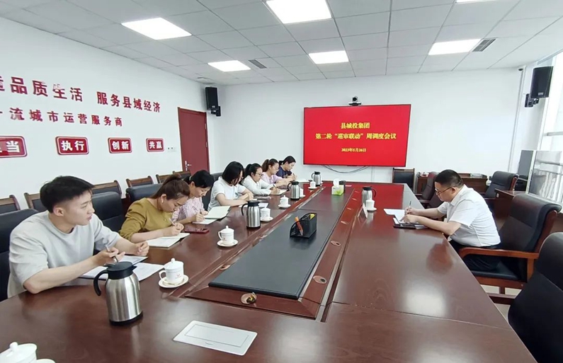 阳信县城投集团：组织召开第二轮“巡审联动”周调度会议
